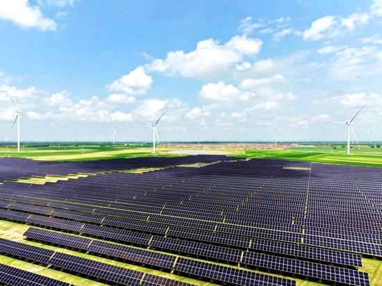 场区照片。张东强 摄.jpeg