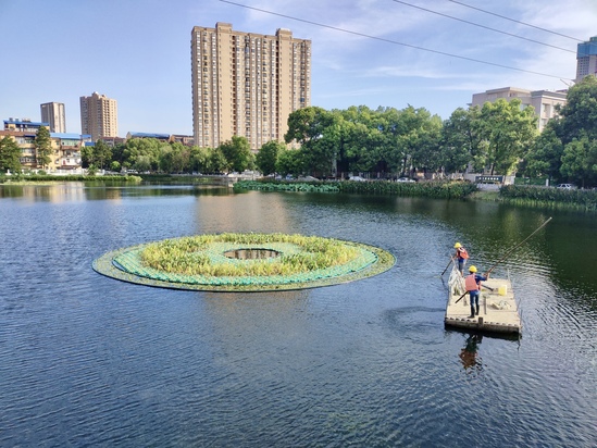 蔡甸项目照片 (1).jpg