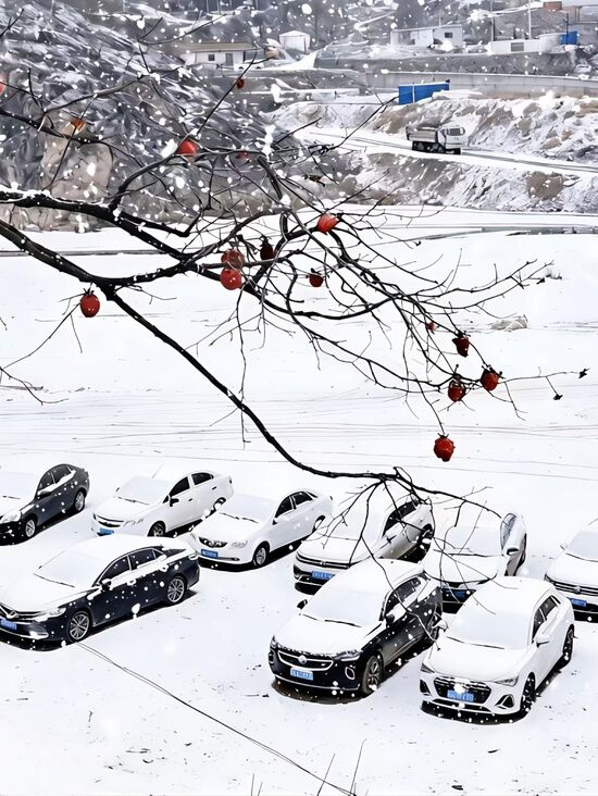 【四局文苑】(第二分局)初雪 摄影:冯昱博1.jpg